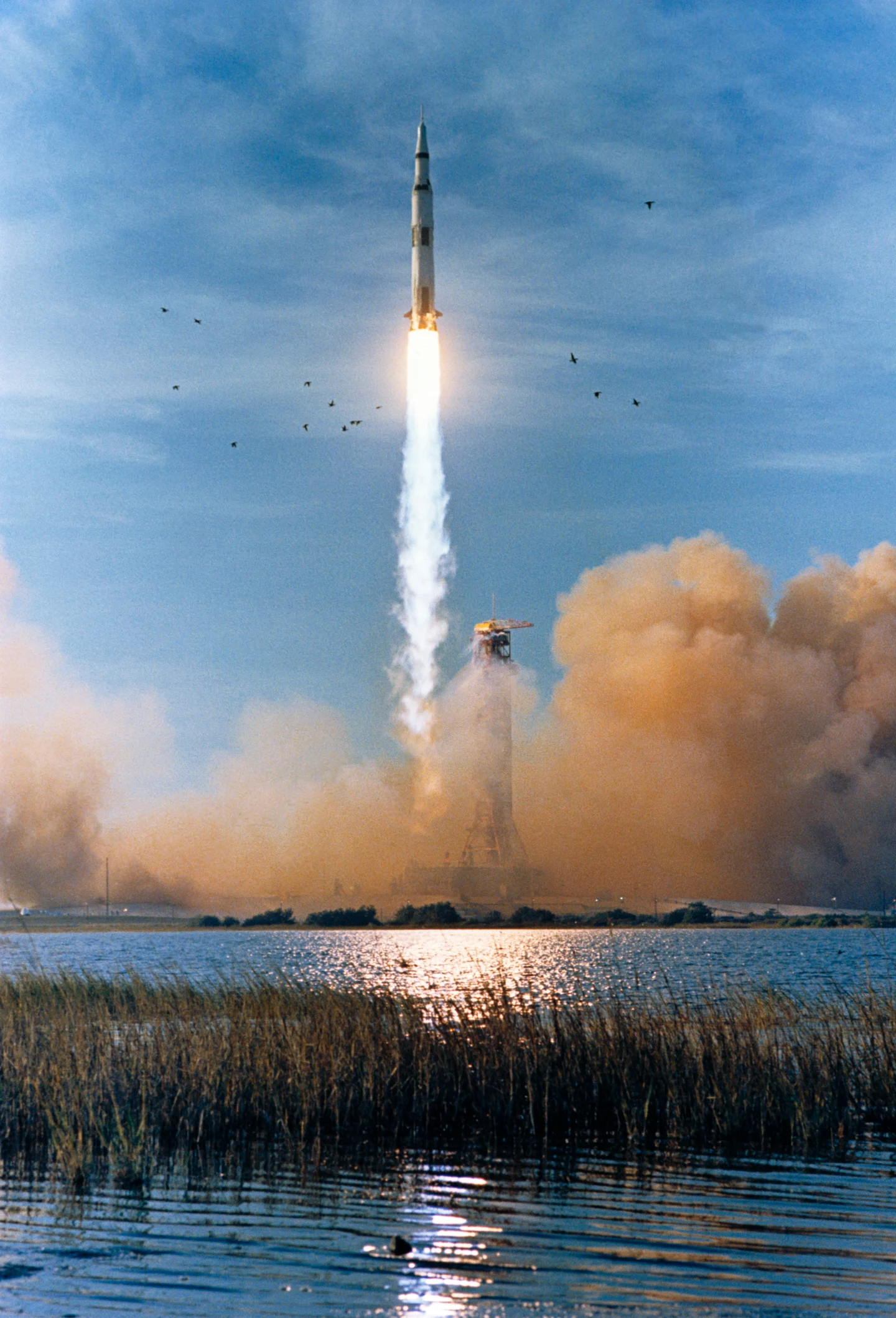 The Saturn V carrying Apollo 8 rises above Launch Complex 39A, with water and birds in the foreground.