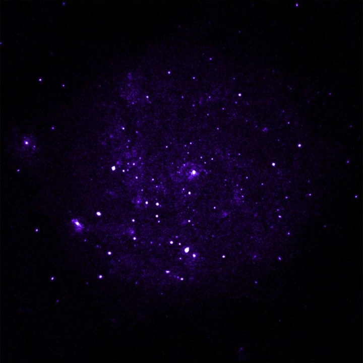 Purple Chandra X-ray image of M101 showing bright points and faint diffuse emission against black.
