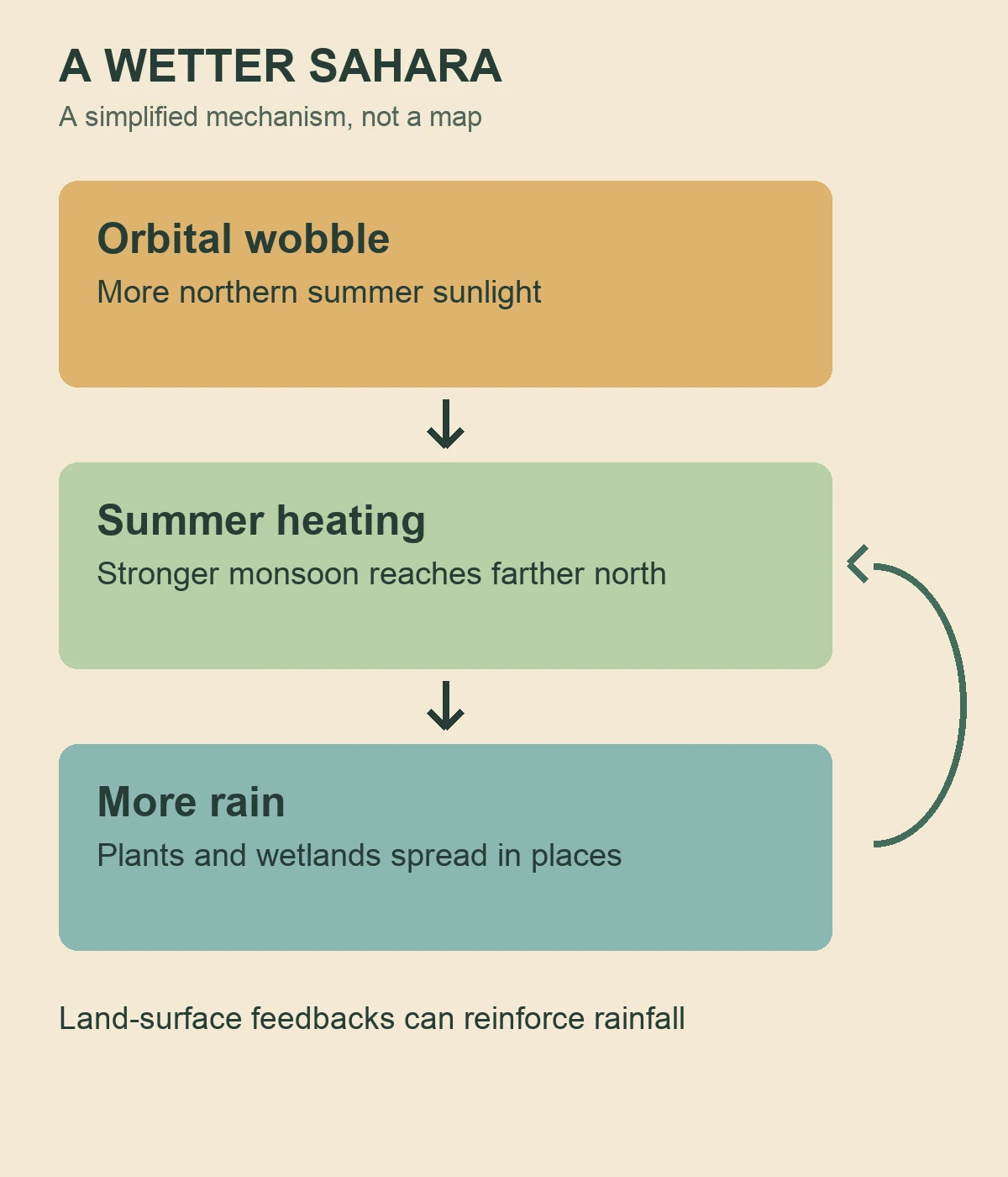 Diagram connecting orbital changes, summer heating and a stronger monsoon to increased rain, with a feedback arrow from the wetter landscape.