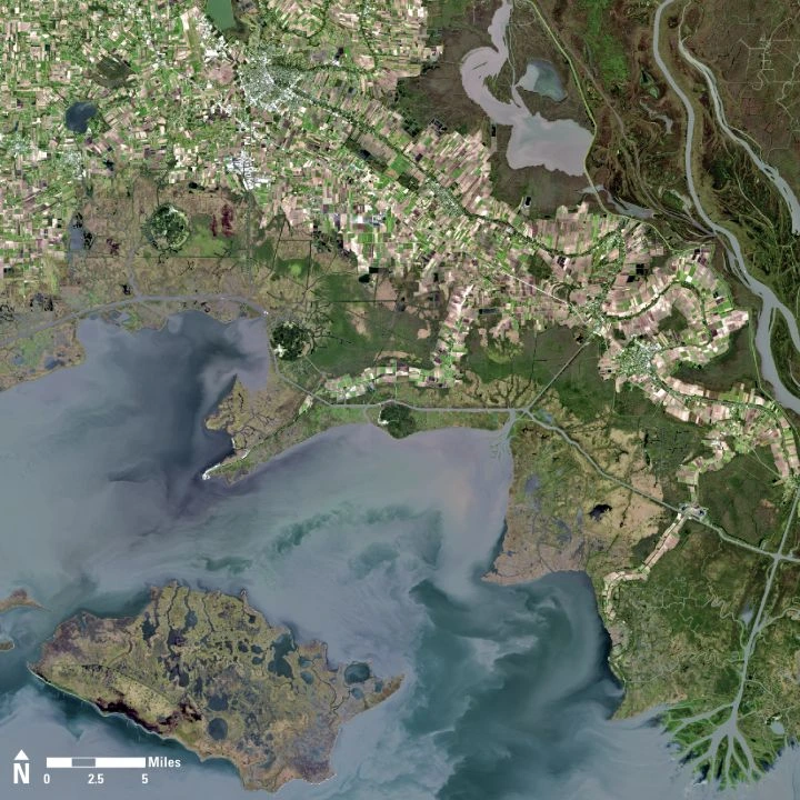 Landsat view of Louisiana coastal wetlands, water and farmland around the salt dome islands.