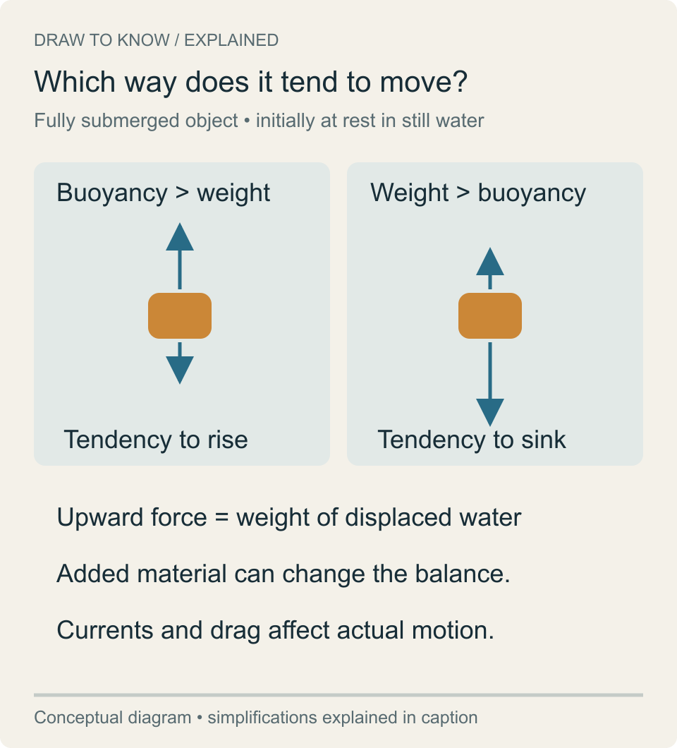Two submerged objects show qualitative force balances: greater buoyancy favors upward acceleration; greater weight favors downward acceleration.