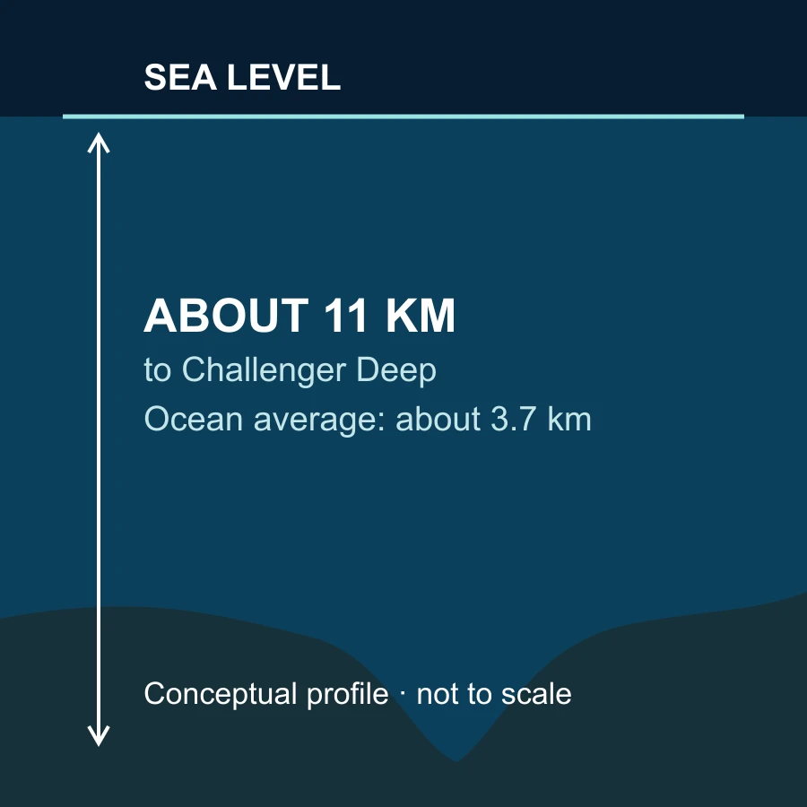 Conceptual ocean profile with an arrow from sea level to Challenger Deep, labeled about 11 kilometers and an ocean average of about 3.7 kilometers.