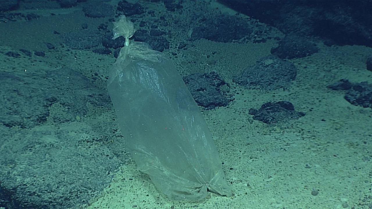 A translucent plastic bag on the rocky seabed illuminated by a remotely operated vehicle.